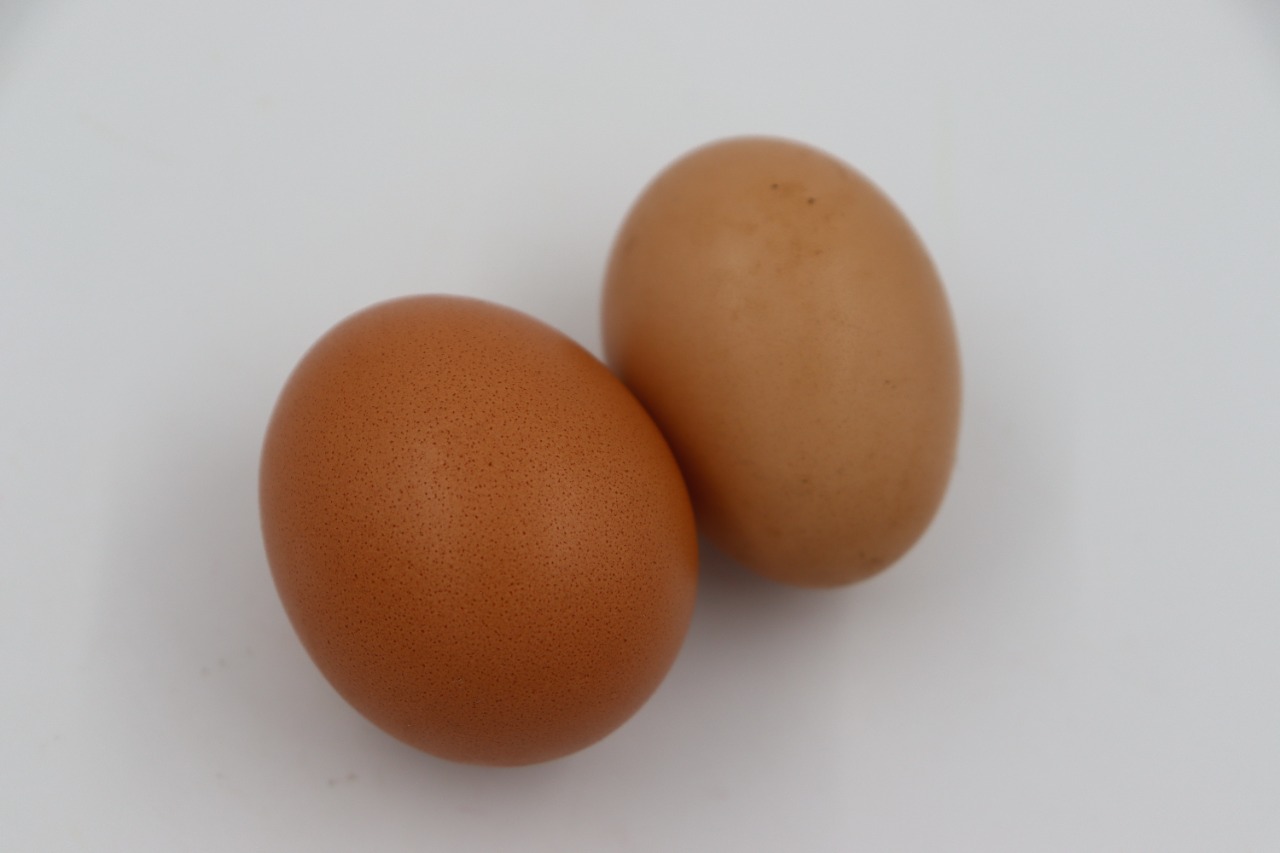 Ecotambo - Huevos Frescos Pequeños